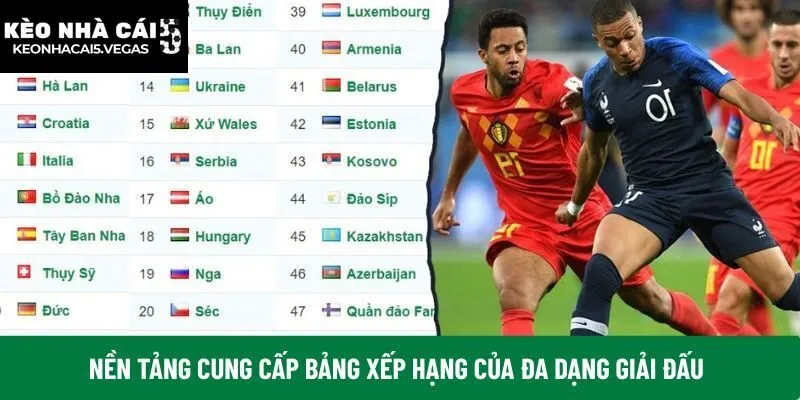 Nền tảng cung cấp bảng xếp hạng của đa dạng giải đấu